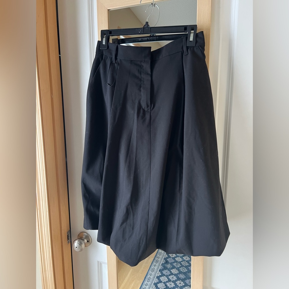 Zara  Skirt